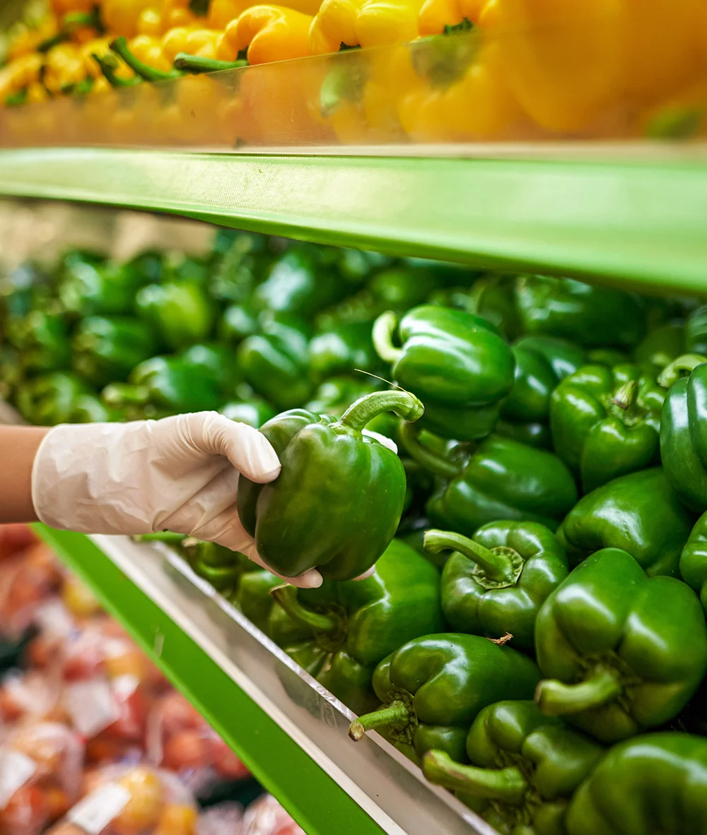 We grow fresh, organic produce using clean methods that protect nature, healthy food.